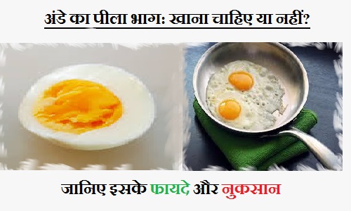 अंडे का पीला भाग: खाना चाहिए या नहीं? जानिए इसके फायदे और नुकसान