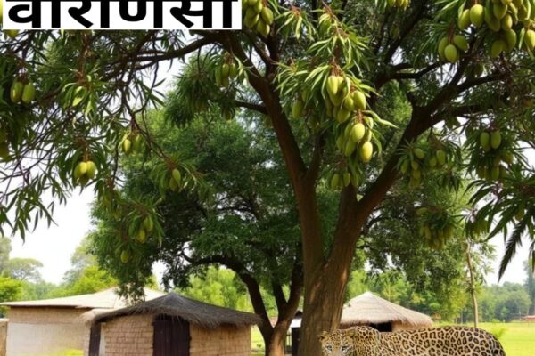 वाराणसी के नवापुरा में तेंदुए का आतंक: एक घायल, ग्रामीणों में दहशत, प्रशासन की सतर्कता अपील