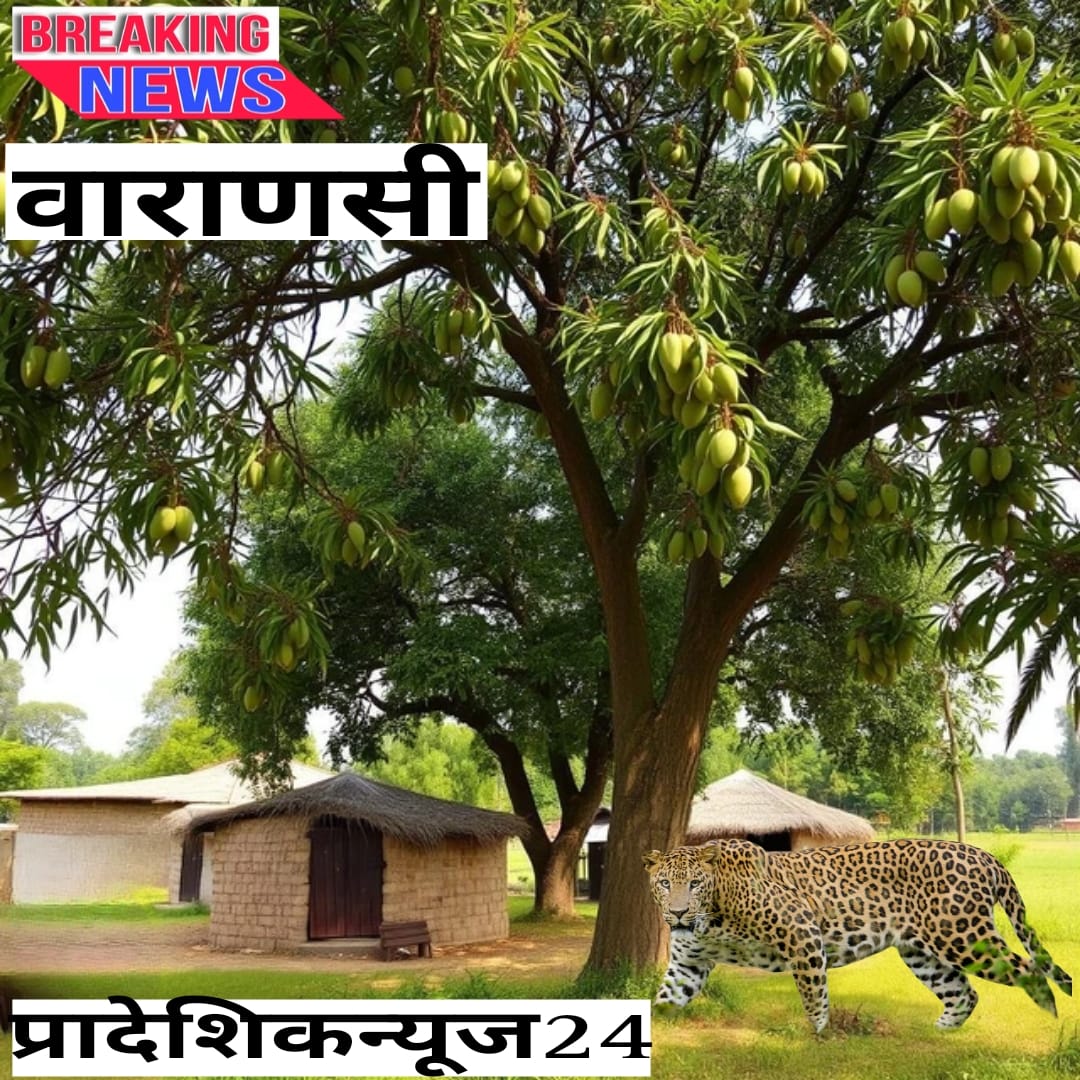 वाराणसी के नवापुरा में तेंदुए का आतंक: एक घायल, ग्रामीणों में दहशत, प्रशासन की सतर्कता अपील